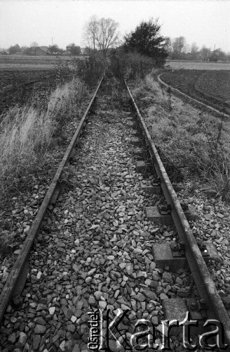 1987, Oświęcim, Polska.
KL Auschwitz Birkenau. Tory kolejowe, bocznica obozowa. 
Fot. Piotr Dylik, zbiory Ośrodka KARTA