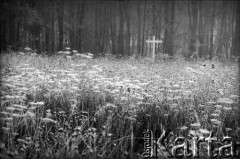 1988, Oświęcim, Polska.
KL Auschwitz Birkenau. Łąka. Krzyże. W tle las.
Fot. Piotr Dylik, zbiory Ośrodka KARTA