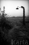 1988, Oświęcim, Polska.
KL Auschwitz Birkenau. Słup z reflektorem. Ogrodzenie obozu.
Fot. Piotr Dylik, zbiory Ośrodka KARTA