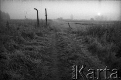 1988, Oświęcim, Polska.
KL Auschwitz Birkenau. Pozostałości ogrodzenia. Polna droga.
Fot. Piotr Dylik, zbiory Ośrodka KARTA