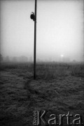 1988, Oświęcim, Polska.
KL Auschwitz Birkenau. Słup z reflektorem.
Fot. Piotr Dylik, zbiory Ośrodka KARTA