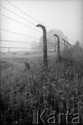 1988, Oświęcim, Polska.
KL Auschwitz Birkenau. Ogrodzenie obozu.
Fot. Piotr Dylik, zbiory Ośrodka KARTA