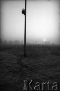 1988, Oświęcim, Polska.
KL Auschwitz Birkenau. Słup z reflektorem.
Fot. Piotr Dylik, zbiory Ośrodka KARTA