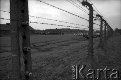 1985, Oświęcim, Polska.
KL Auschwitz Birkenau. Ogrodzenie obozowe. Uczestnicy drogi krzyżowej. W głębi obozowe baraki.
Fot. Piotr Dylik, zbiory Ośrodka KARTA