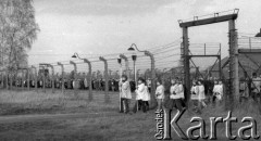 02.11.1986, Oświęcim, Polska.
Drogakrzyżowa. KL Auschwitz Birkenau. Ogrodzenie i brama.
Fot. Piotr Dylik, zbiory Ośrodka KARTA