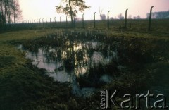 1990, Oświęcim, Polska.
KL Auschwitz Birkenau. Rów wypełniony wodą. Ogrodzenie obozu.
Fot. Piotr Dylik, zbiory Ośrodka KARTA