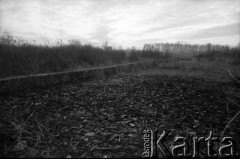 1990, Oświęcim, Polska.
KL Auschwitz Birkenau. Ruiny budynków obozowych. Magazyny zrabowanego mienia - tzw. Kanada. Łyżki.
Fot. Piotr Dylik, zbiory Ośrodka KARTA