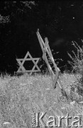 1990, Oświęcim, Polska.
KL Auschwitz Birkenau. Łąka. Gwiazdy Dawida.
Fot. Piotr Dylik, zbiory Ośrodka KARTA