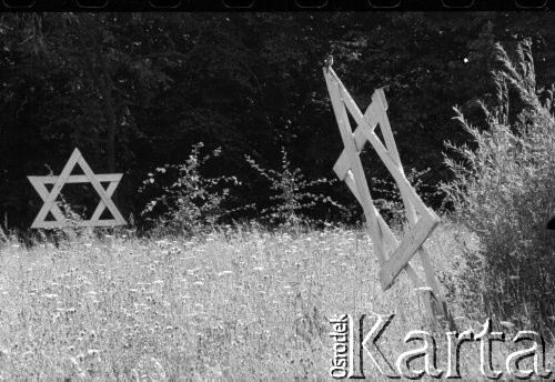 1990, Oświęcim, Polska.
KL Auschwitz Birkenau. Łąka. Gwiazda Dawida.
Fot. Piotr Dylik, zbiory Ośrodka KARTA