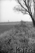 1990, Oświęcim, Polska.
KL Auschwitz Birkenau. Tory kolejowe, bocznica obozowa. W głębi wartownia i brama główna.
Fot. Piotr Dylik, zbiory Ośrodka KARTA