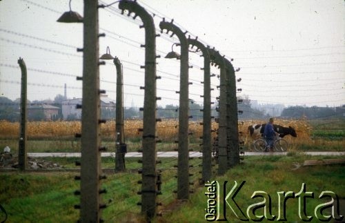1992, Oświęcim, Polska.
KL Auschwitz Birkenau. Ogrodzenie obozowe. Mężczyzna z rowerem prowadzi krowę. W głębi zabudowania miejskie.
Fot. Piotr Dylik, zbiory Ośrodka KARTA