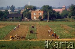 1992, Oświęcim, Polska.
KL Auschwitz Birkenau. Okolice obozu. Zbiór ziemniaków. Zabudowania miejskie. Z prawej wartownia i brama główna obozu.
Fot. Piotr Dylik, zbiory Ośrodka KARTA