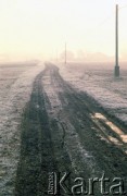 1991, Oświęcim, Polska.
KL Auschwitz Birkenau. Okolice obozu. Polna droga.
Fot. Piotr Dylik, zbiory Ośrodka KARTA