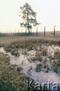 1991, Oświęcim, Polska.
KL Auschwitz Birkenau. Ogrodzenie obozowe. Rów wypełniony wodą. Drzewo.
Fot. Piotr Dylik, zbiory Ośrodka KARTA