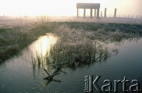 1991, Oświęcim, Polska.
KL Auschwitz Birkenau. Ruiny budynków obozowych. Rów wypełniony wodą. W wodzie tzw. kozioł hiszpański.
Fot. Piotr Dylik, zbiory Ośrodka KARTA