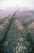 1991, Oświęcim, Polska.
KL Auschwitz Birkenau. Tory kolejowe, bocznica obozowa. W głębi wartownia i brama główna.
Fot. Piotr Dylik, zbiory Ośrodka KARTA