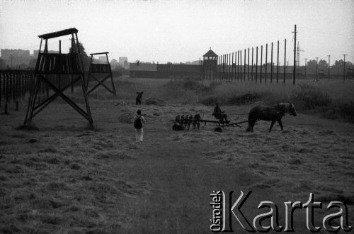 1991, Oświęcim, Polska.
KL Auschwitz Birkenau. Ogrodzenie obozu z wieżami strażniczymi. Zbiór siana.
Fot. Piotr Dylik, zbiory Ośrodka KARTA