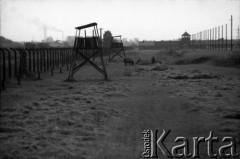 1991, Oświęcim, Polska.
KL Auschwitz Birkenau. Ogrodzenie obozu z wieżami strażniczymi. Zbiór siana.
Fot. Piotr Dylik, zbiory Ośrodka KARTA