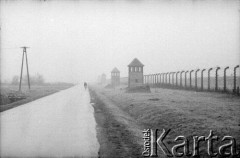 1991, Oświęcim, Polska.
KL Auschwitz Birkenau. Droga wzdłuż obozu. Ogrodzenie obozu. Wieże strażnicze. Zdjęcie we mgle. Rowerzysta.
Fot. Piotr Dylik, zbiory Ośrodka KARTA