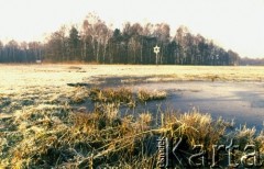 1990, Oświęcim, Polska.
KL Auschwitz Birkenau. Rozlewisko. Gwiazda Dawida. W głębi las.
Fot. Piotr Dylik, zbiory Ośrodka KARTA