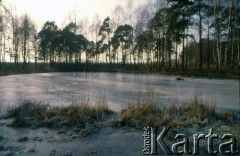 1990, Oświęcim, Polska.
KL Auschwitz Birkenau. Staw otoczony drzewami.
Fot. Piotr Dylik, zbiory Ośrodka KARTA