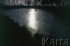 1990, Oświęcim, Polska.
KL Auschwitz Birkenau. Staw otoczony drzewami. Świt.
Fot. Piotr Dylik, zbiory Ośrodka KARTA