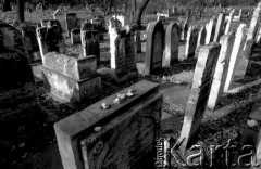 1990, Kraków, Polska.
Macewy na Starym Cmentarzu Żydowskim (Cmentarzu Remuh) na Kazimierzu. Na stelach nagrobków pozostawione kamyki - w judaizmie tradycyjne oznaczanie grobu lub miejsca pochówku poprzez pozostawienie na nim kamienia jest formą oddania czci zmarłemu i spełnieniem jednego z religijnych obowiązków (micwa).
Fot. Piotr Dylik, zbiory Ośrodka KARTA