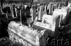 1990, Kraków, Polska.
Macewy na Starym Cmentarzu Żydowskim (Cmentarzu Remuh) na Kazimierzu. Na nagrobkach pozostawione kamyki - w judaizmie tradycyjne oznaczanie grobu lub miejsca pochówku poprzez pozostawienie na nim kamienia jest formą oddania czci zmarłemu i spełnieniem jednego z religijnych obowiązków (micwa).
Fot. Piotr Dylik, zbiory Ośrodka KARTA
