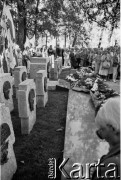 1.09.1989, Gdańsk, Polska.
Cmentarz Obrońców Westerplatte - 15 krzyży z nieśmiertelnikami - miejsce spoczynku poległych żołnierzy. Uroczyste obchody 50. rocznicy wybuchu II wojny światowej i obrony Westerplatte.
Fot. Jan Juchniewicz, zbiory Ośrodka KARTA