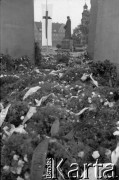 28.06.1981, Poznań, Polska.
Wieńce pod Pomnikiem Ofiar Czerwca 1956. W głębi widoczny pomnik Adama Mickiewicza.
Fot. Witold Górka, zbiory Ośrodka KARTA