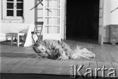 czerwiec 1984, Kraków, Polska.
Teatr im. Juliusza Słowackiego. Przedstawienie: Wesele, Stanisław Wyspiański. Reżyseria: Mikołaj Grabowski, scenografia: Andrzej Witkowski. Muzyka Józef Rychlik.
Fot. Witold Górka, zbiory Ośrodka KARTA

