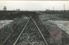 1945, okolice Oświęcimia.
Rampa wyładowcza przy obozie
Fot. NN, Studium Polski Podziemnej w Londynie