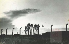 1945-1980, Oświęcim. 
Ogrodzenie zespołu obozów koncentracyjnych Auschwitz-Birkenau. 
Fot. NN, Studium Polski Podziemnej w Londynie