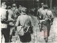 Lipiec 1944, okolice Wilna. 
Żołnierze 6 Samodzielnej Brygady Partyzanckiej Armii Krajowej Wilno. maszerują do lasu. 
Fot. NN, Studium Polski Podziemnej w Londynie
