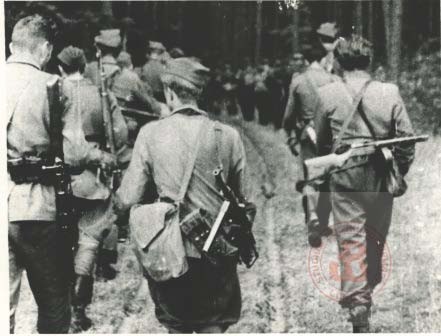 Lipiec 1944, okolice Wilna. 
Żołnierze 6 Samodzielnej Brygady Partyzanckiej Armii Krajowej Wilno. maszerują do lasu. 
Fot. NN, Studium Polski Podziemnej w Londynie