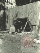 Sierpień-Październik 1944, Warszawa.
Żołnierz Armii Krajowej wychodzący z schronu. 
Fot. NN, Studium Polski Podziemnej w Londynie