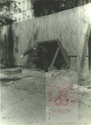 Sierpień-Październik 1944, Warszawa.
Żołnierz Armii Krajowej wychodzący z schronu. 
Fot. NN, Studium Polski Podziemnej w Londynie