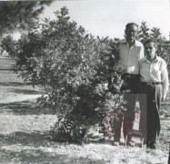 Październik 1978, Jerozolima, Izrael.
Władysław Bartoszewski (z lewej) i doktor Józef Kermisz w Yad Vashem przy drzewach 