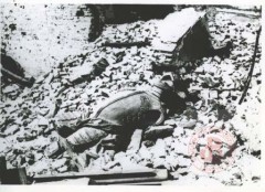 1945, Warszawa. 
Ruiny Zamku Królewskiego. 
Fot. NN, Studium Polski Podziemnej w Londynie