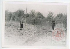 Sierpień-Październik 1944, Warszawa. 
Park imienia Stefana Żeromskiego po niemieckim nalocie podczas powstania warszawskiego. 
Fot. NN, Studium Polski Podziemnej w Londynie