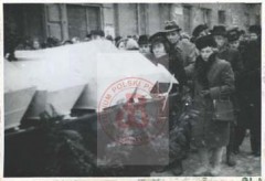 1946, Częstochowa, woj. łódzkie, Polska.
Kondukt pogrzebowy, w którym biorą udział rodziny i przyjaciele zamordowanych przez Niemców w egzekucjach pod Olsztynem w latach 1940-1941 członków ruchu oporu ze Związku Walki Zbrojnej, Polskiego Związku Wolności, Polskiej Organizacji Zbrojnej, 