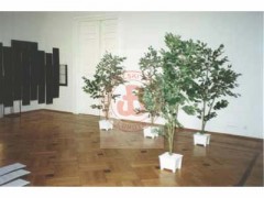 5.07.1993, Warszawa, Polska.
Wystawa 