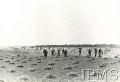 1944-1945, brak miejsca.
I Dywizja Pancerna. Żołnierze niemieccy wzięci do niewoli.
Fot. NN, Instytut Polski i Muzeum im. gen. Sikorskiego w Londynie
