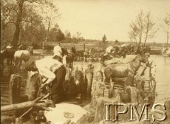 1914-1917, Wołyń.
Legiony Polskie. Nad Styrem i Stochodem, żołnierze pławiący konie.
Fot. Instytut Polski i Muzeum im. gen. Sikorskiego w Londynie