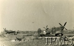 Sierpień 1944, Francja.
Samoloty 317 Dywizjonu Myśliwskiego na lotnisku.
Fot. Marian Walentynowicz, Instytut Polski i Muzeum im. gen. Sikorskiego w Londynie.