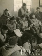 Marzec 1941, Ternhill, Anglia, Wielka Brytania.
Lotnicy 306 Dywizjonu Myśliwskiego - siedzą od lewej: por. Zdzisław Langhamer, por. Aleksander Petruszka, por. Marian Skalski, kpt. Władysław Nowak, por. dr Wiktorczyk. Na tle okna stoi por. Franciszek Skiba.
Fot. NN, Instytut Polski i Muzeum im. gen. Sikorskiego w Londynie [sygn. 4754]