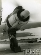 1940-1943, Wielka Brytania.
Samolot Lotnictwa Obrony Wybrzeża, pracujący silnik Hercules.
Fot. NN, Instytut Polski i Muzeum im. gen. Sikorskiego w Londynie [sygn. 14312]