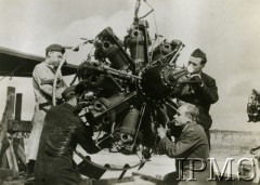 Ok. 1941, Wielka Brytania.
Przegląd silników Bristol Pegasus XVIII z bombowca Handley Page Hampden Mk I lub Vickers Wellington Mark I prowadzony przez Polskich mechaników RAF.
Fot. NN, Instytut Polski i Muzeum im. gen. Sikorskiego w Londynie [sygn. 12228]