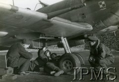 1940-1944, Wielka Brytania.
Mechanicy przygotowują do lotu samolot 317 Dywizjonu, z prawej kuca kpt. Paweł Niemiec.
Fot. NN, Instytut Polski i Muzeum im. gen. Sikorskiego w Londynie [sygn. 7363]
