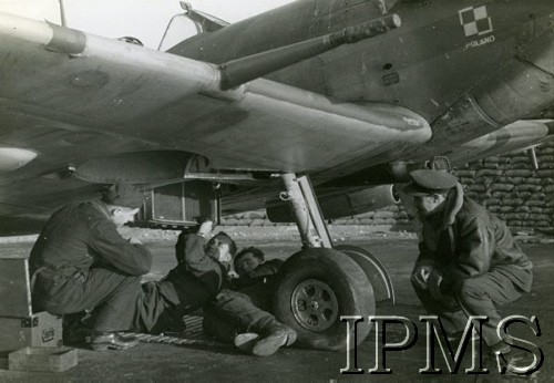 1940-1944, Wielka Brytania.
Mechanicy przygotowują do lotu samolot 317 Dywizjonu, z prawej kuca kpt. Paweł Niemiec.
Fot. NN, Instytut Polski i Muzeum im. gen. Sikorskiego w Londynie [sygn. 7363]